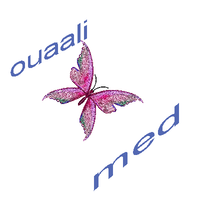 med-ouaali